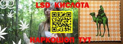 кокс Гай