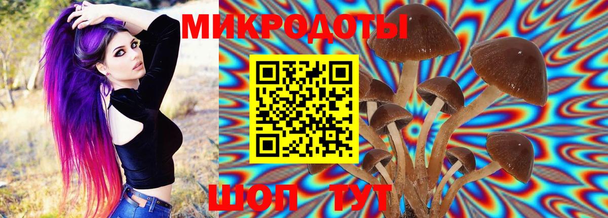 Новосибирск  Псилоцибиновые грибы Psilocybine cubensis  Вход с VPN 
